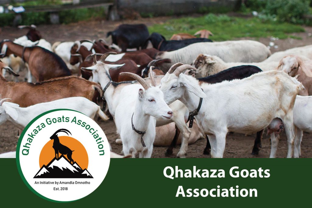 Qhakaza-Goats-Association
